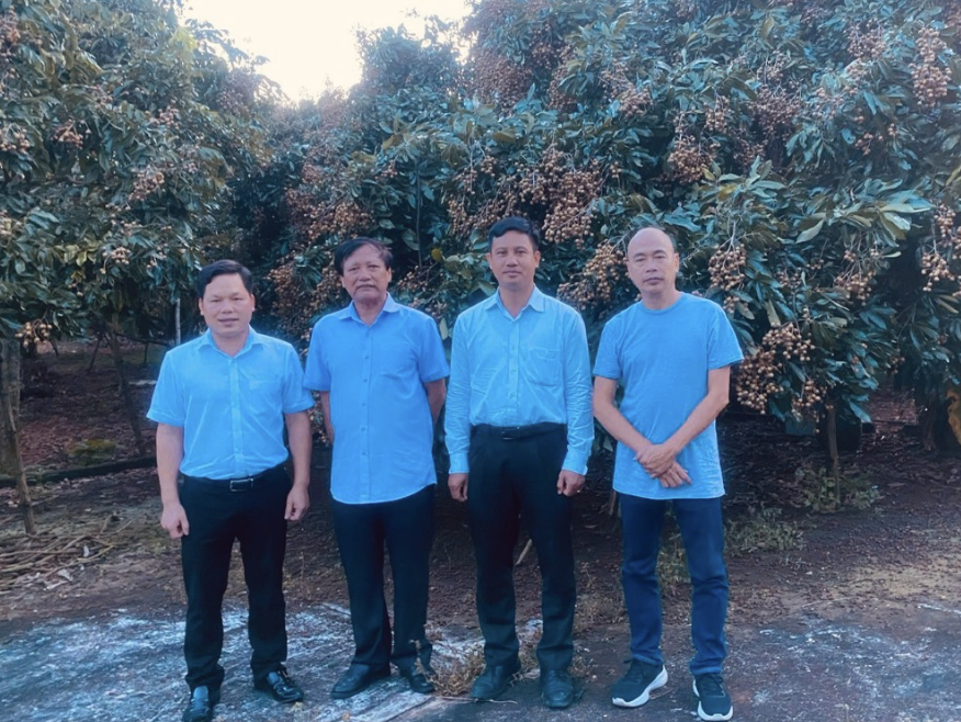 Lãnh đạo Viện cùng chuyên gia và lãnh đạo xã Hoà Hội khảo sát thực tế ứng dụng công nghệ số cho một số loại cây trồng